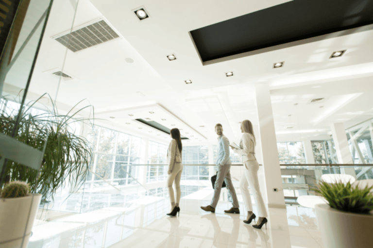 Three people walk through a bright, modern office space with large windows and indoor plants, chatting about their recent resolution of property line disputes.