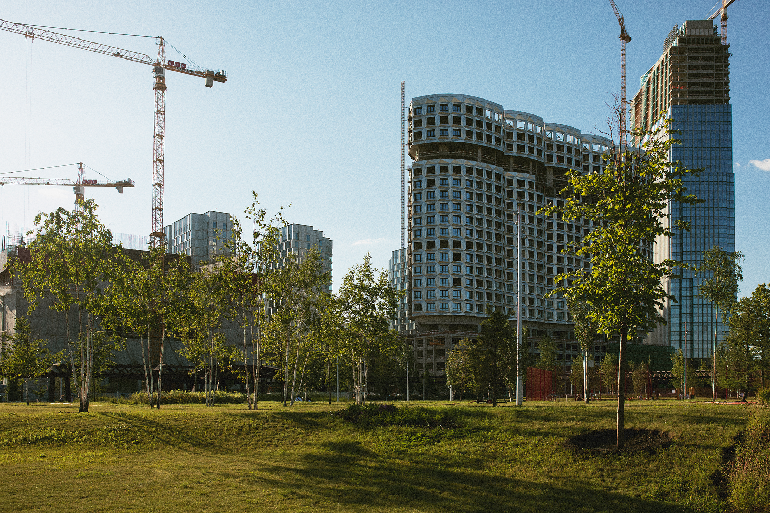 A city park with young trees in the foreground and several modern high-rise buildings and construction cranes in the background under a clear sky.